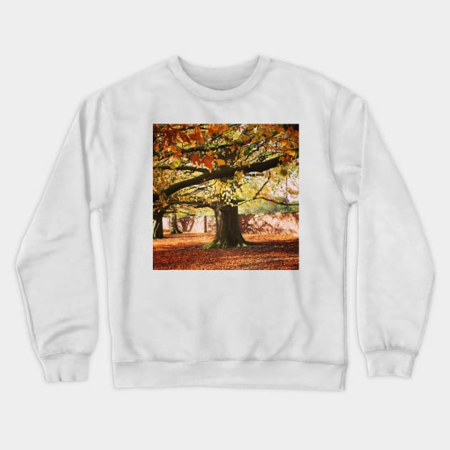 Autumn tree Crewneck Sweatshirt by Jonesyinc